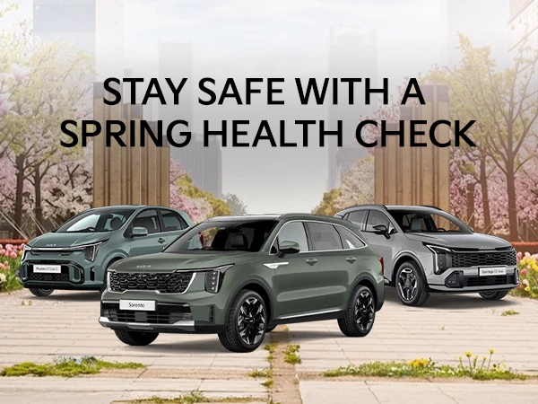 Spring Health Check - Inner