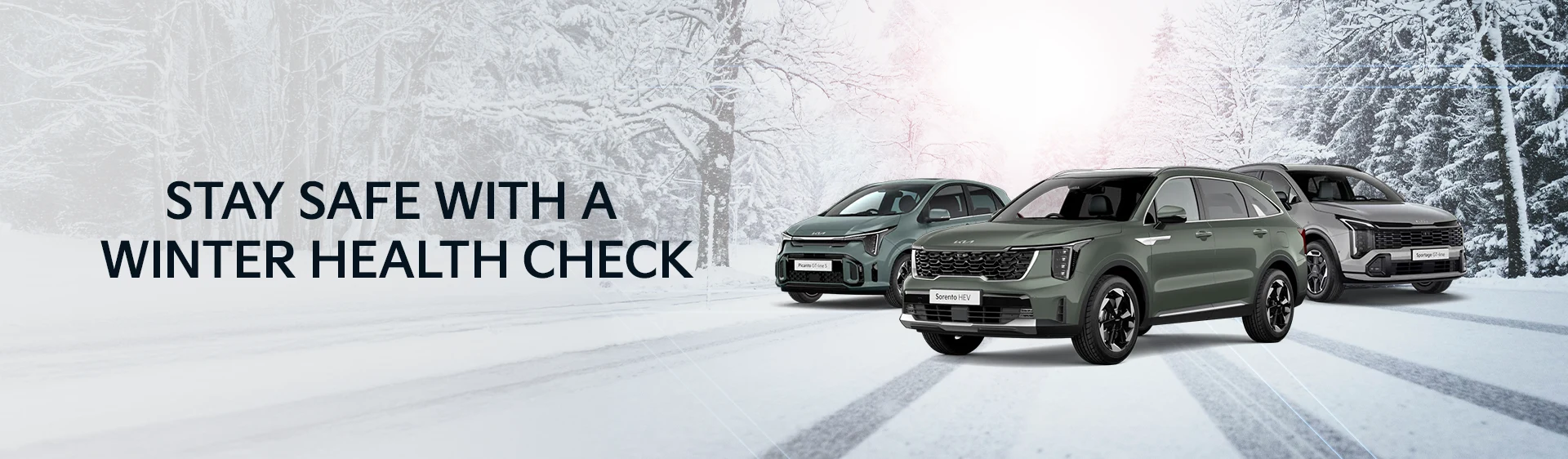 Winter health check - Home 