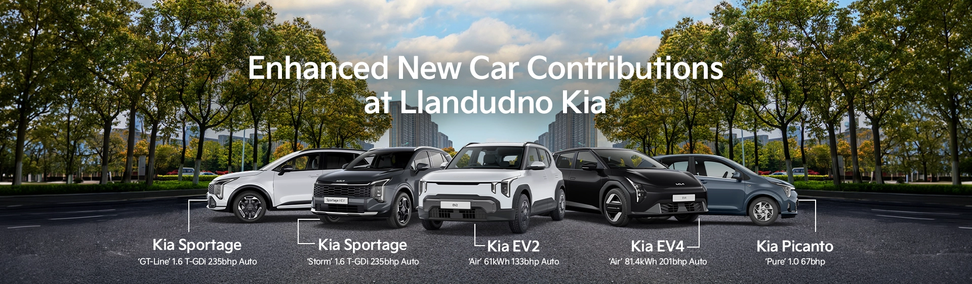 New Car Enhanced Offers